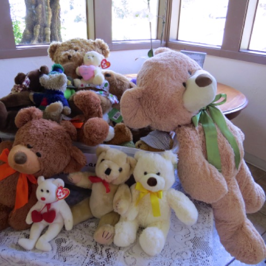 Teddy Bears for donation to the Shelter Network of San Mateo                                                                                                                                                             
